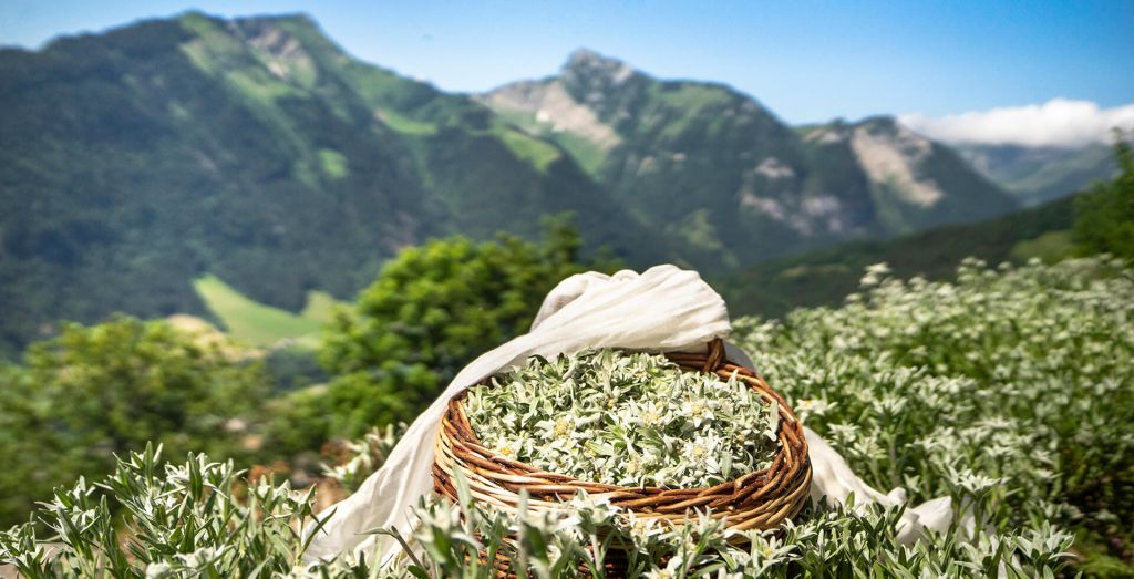 La pureté exceptionnelle des soins  naturels Jardin des Monts